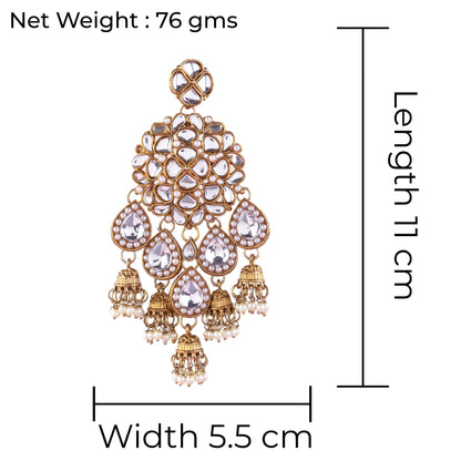 Pearl Dharna Designer Earring